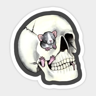 Skull rat Sticker